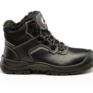BEARFIELD TRZEWIK OCIEPLANY R02 S3 SRC