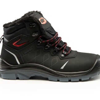 BEARFIELD TRZEWIK OCIEPLANY K14 S3 SRC